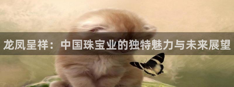 新航娱乐平台