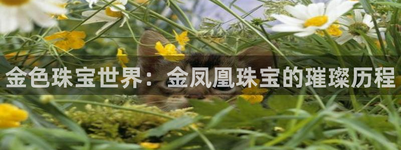 新航娱乐的创始人简介