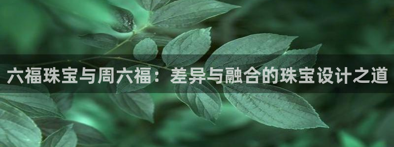 新航娱乐是干嘛的