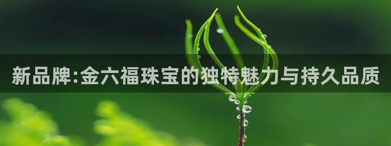 新航娱乐黑