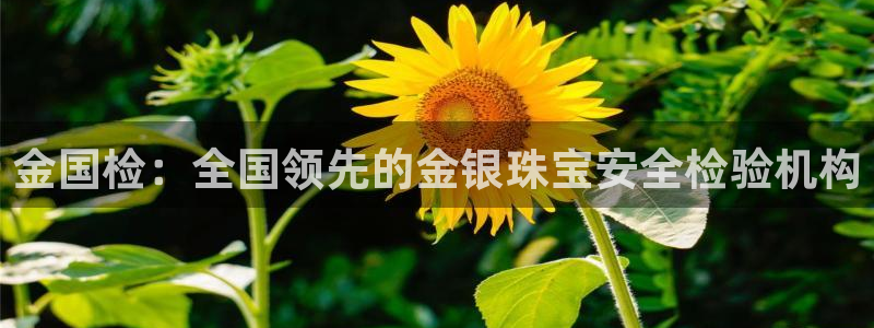新航娱乐有限公司怎么样