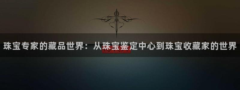 新航娱乐公司招聘信息