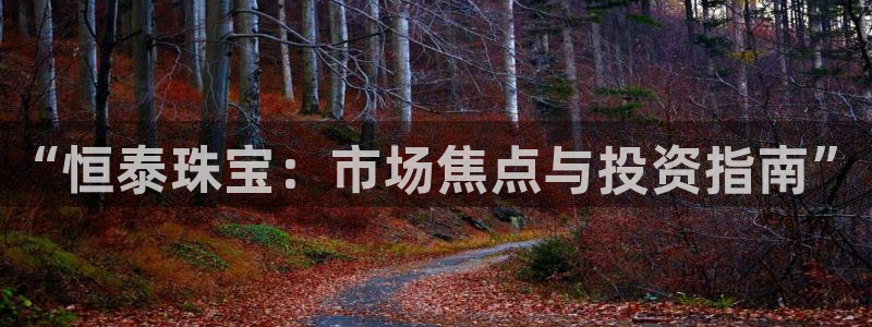 新航娱乐主管是谁