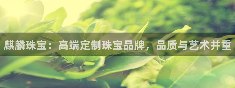 新航娱乐登录网站