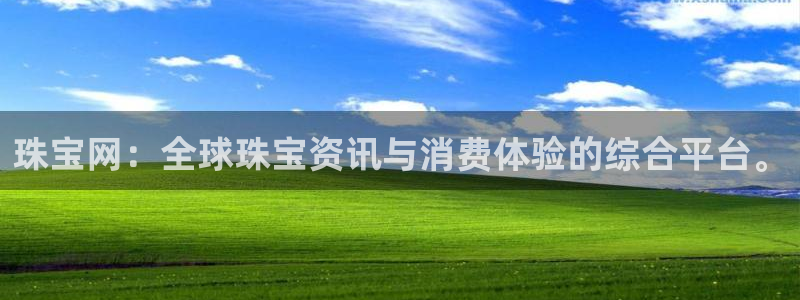 新航娱乐公司招聘