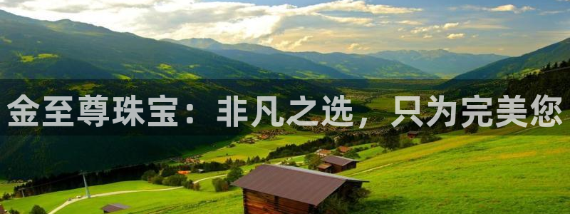 新航娱乐公司简介资料