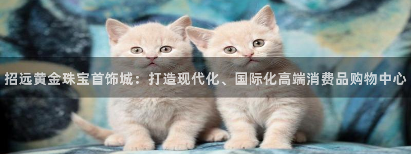 新航娱乐有限公司招聘
