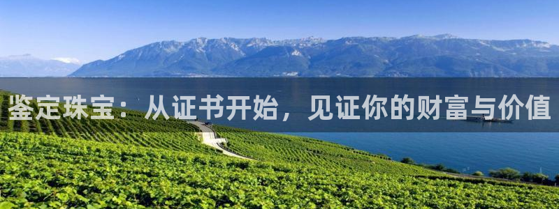 新航娱乐官网登录入口