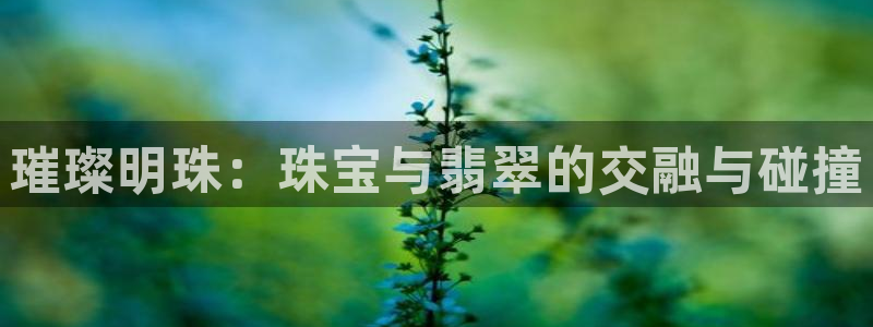 新航sq806娱乐系统