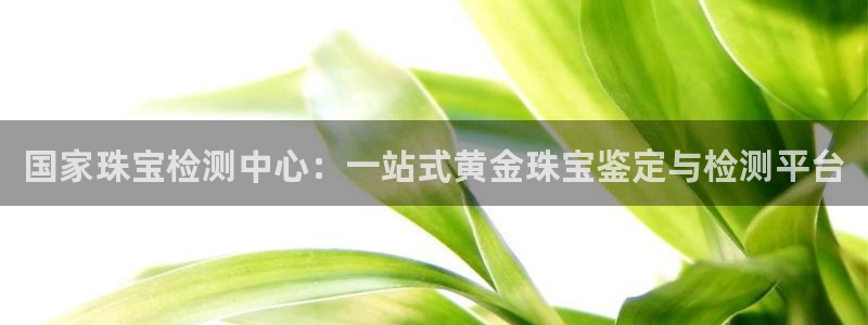 新航娱乐官网地址