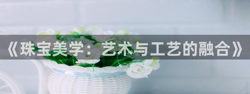 新航娱乐公司旗下艺人