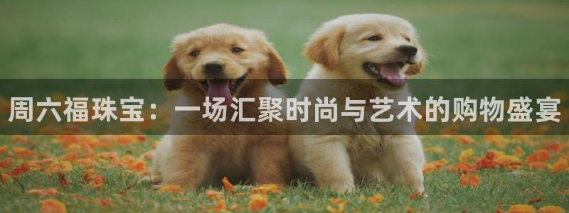 新航娱乐app下载