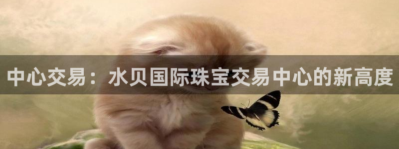 成都中创新航娱乐区
