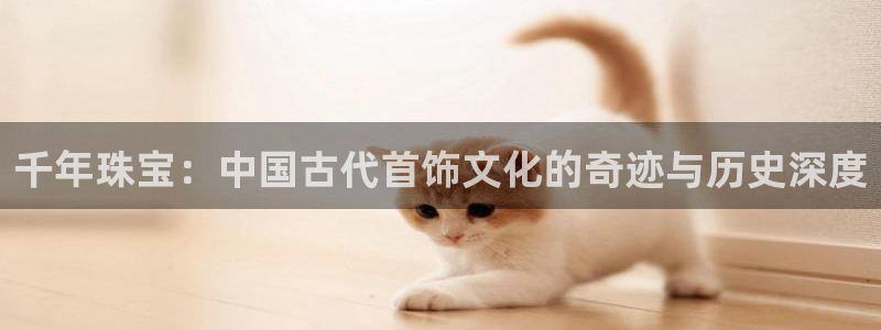 新航娱乐公司