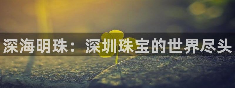 高州市新航线娱乐俱乐部
