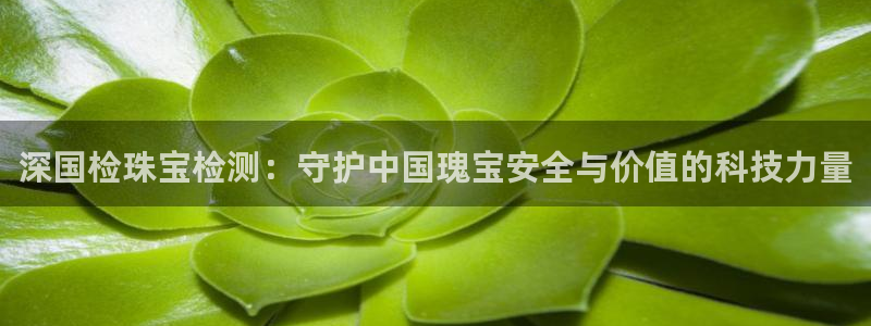 新航娱乐最新开户信息