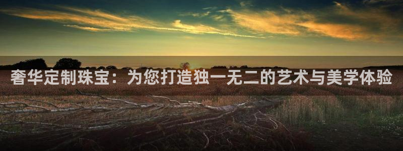 新航娱乐有限公司怎么样