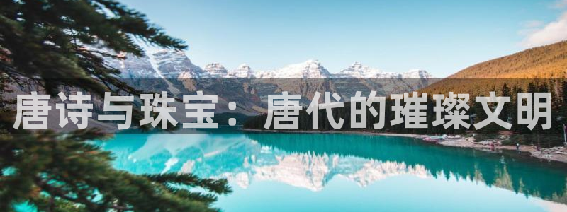 新航机上娱乐