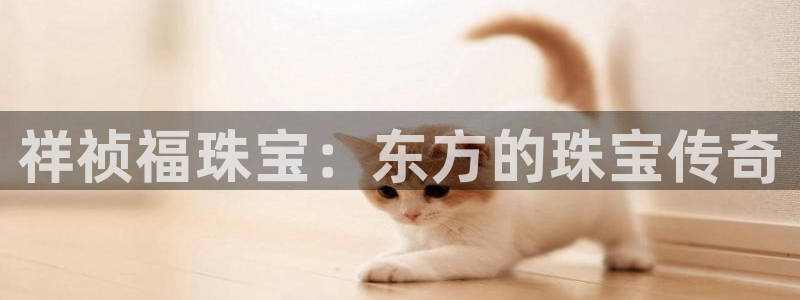 新航娱乐的最新动态报道