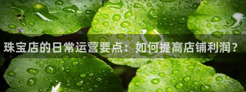 新航娱乐官方首页