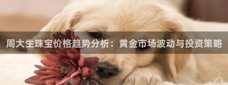 新航娱乐旗下艺人列表
