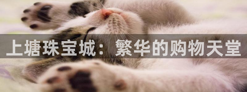 娱乐搞笑新航线