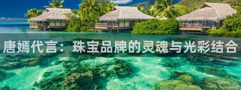 新航娱乐入新航娱乐怎么样