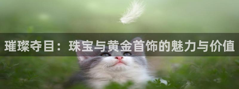 新航国际娱乐：璀璨夺目：珠宝与黄金首饰的魅力与价值