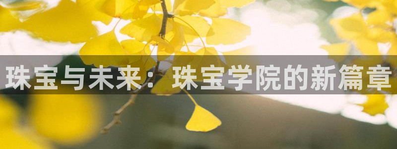 新航文化娱乐传媒：珠宝与未来：珠宝学院的新篇章