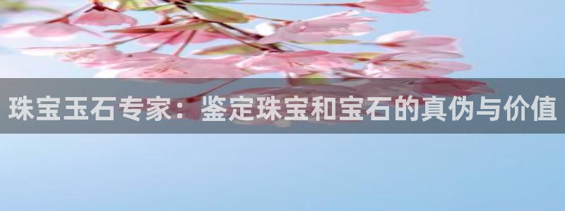 新航娱乐艺人：珠宝玉石专家：鉴定珠宝和宝石的真伪与价值