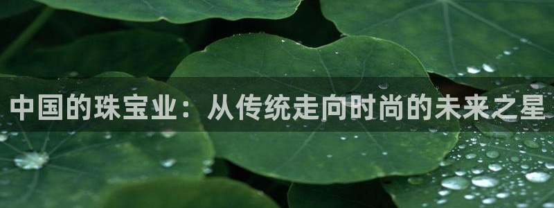 新航娱乐平台app下载：中国的珠宝业：从传统走向时尚的未来之