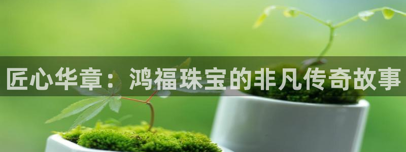 新航娱乐扣款详情：匠心华章：鸿福珠宝的非凡传奇故事