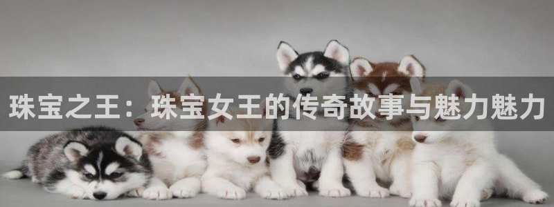 新航娱乐属于什么档次