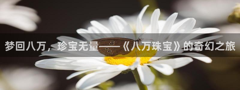 新航海娱乐会所地址：梦回八万，珍宝无量——《八万珠宝》的奇幻