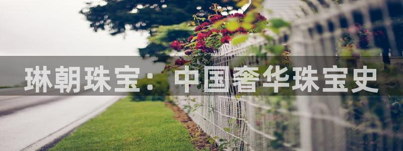 新航线辉煌娱乐会所：琳朝珠宝：中国奢华珠宝史