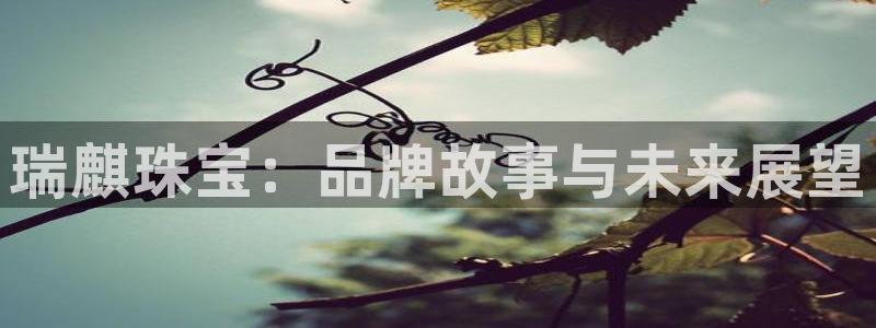 新航娱乐公司简介
