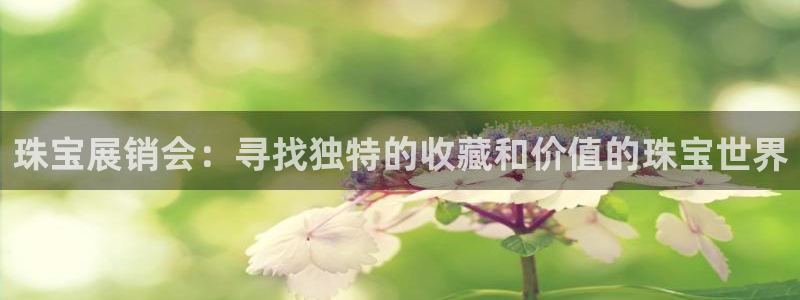 新航娱乐公司地址：珠宝展销会：寻找独特的收藏和价值的珠宝世界