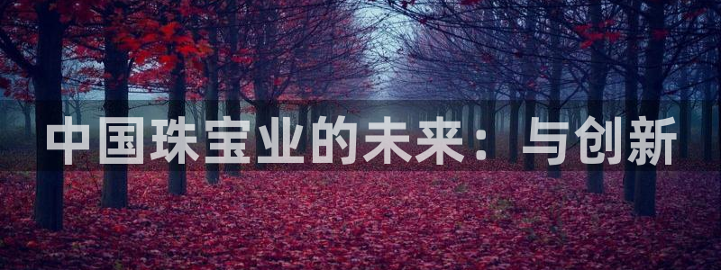 新航娱乐主管是谁