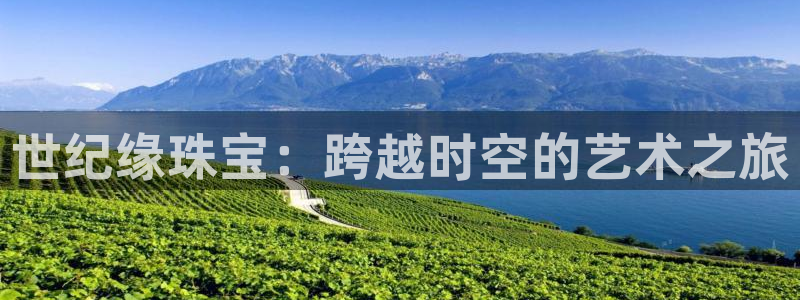 新航娱乐公司地址