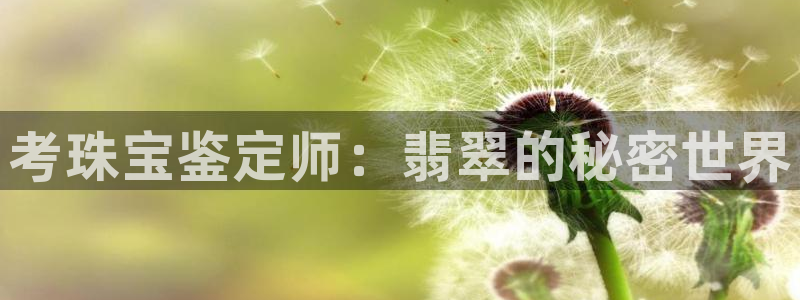 新航娱乐官网地址：考珠宝鉴定师：翡翠的秘密世界