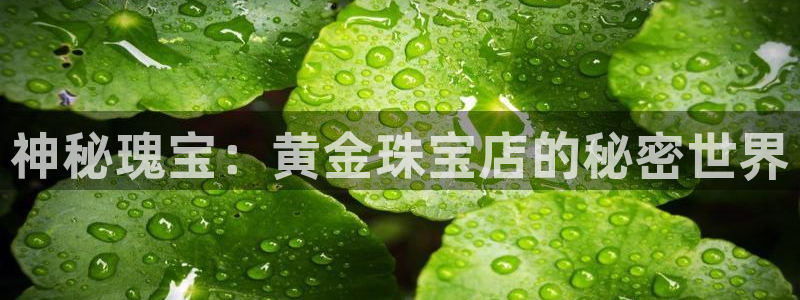 萧山娱乐新航母阿里巴巴：神秘瑰宝：黄金珠宝店的秘密世界