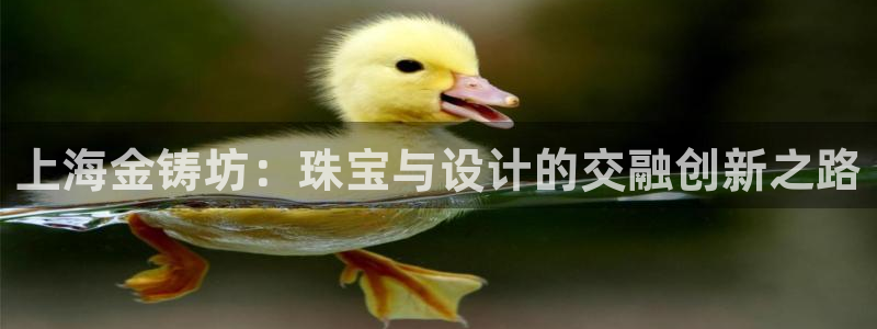 新航娱乐公司招聘信息网