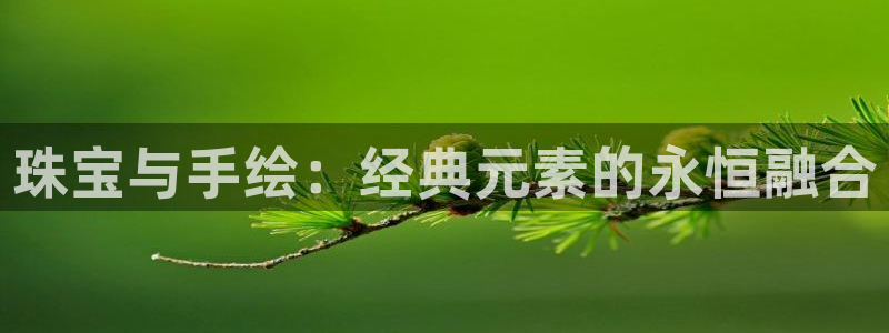 新航娱乐公司艺人