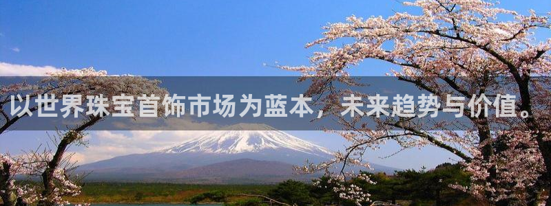 新航娱乐登录大厅