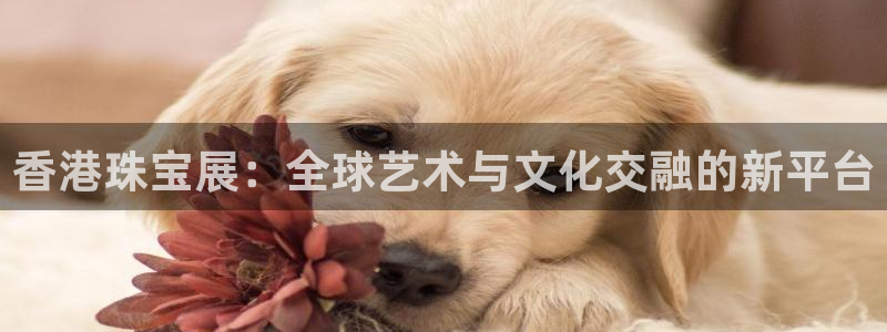 娱乐新航线