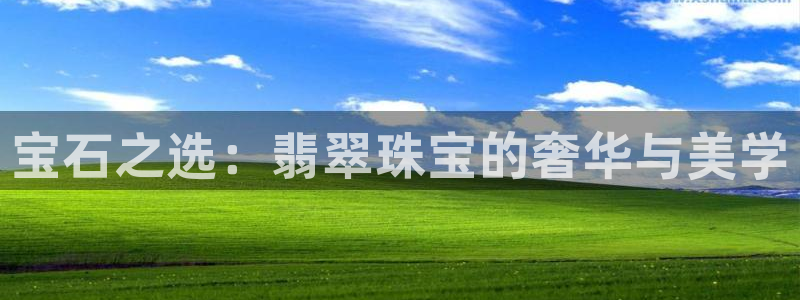 新航娱乐平台登录入口