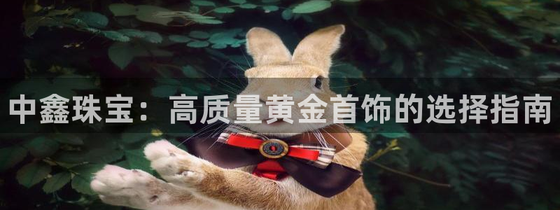 新航娱乐观：中鑫珠宝：高质量黄金首饰的选择指南