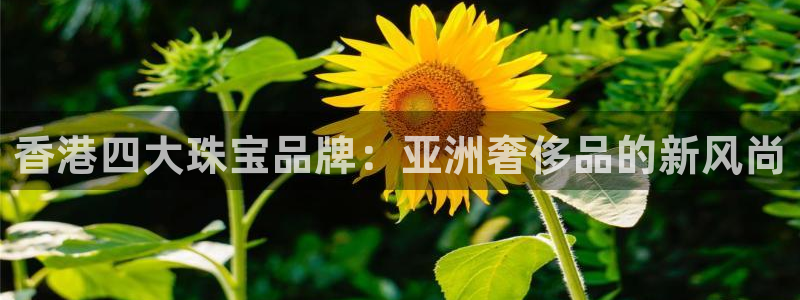 新航海娱乐会所地址电话：香港四大珠宝品牌：亚洲奢侈品的新风尚