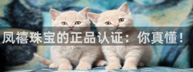 新航娱乐公司地址查询：凤禧珠宝的正品认证：你真懂！