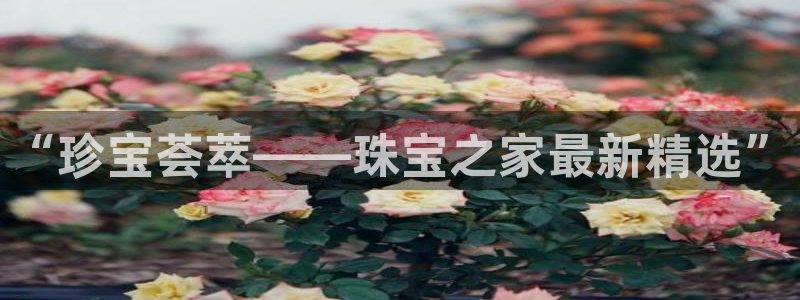 娱乐新航向